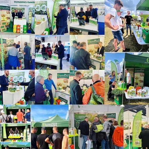 STYMULATOR DO WARZYW GUMISIL TRICHODERMA ROZSADY! EKO NAWÓZ BIOLOGICZNY TOP na Arena.pl