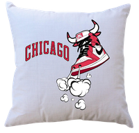 Poduszka z wkładem Chicago Bulls