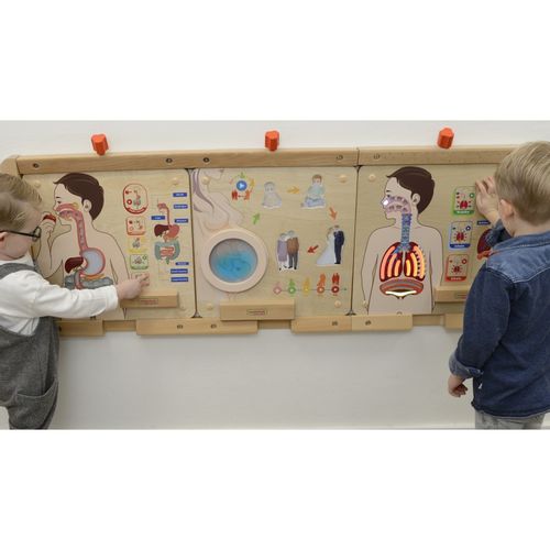 MASTERKIDZ Tablica Edukacyjna Układ Oddechowy na Arena.pl