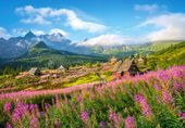 PUZZLE 1000 UKŁADANKA KRAJOBRAZ WIDOK GÓRY TATRY HALA GĄSIENICOWA 9+