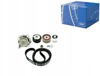 SKF VKMC 01220 Pompa wodna + zestaw paska rozrządu