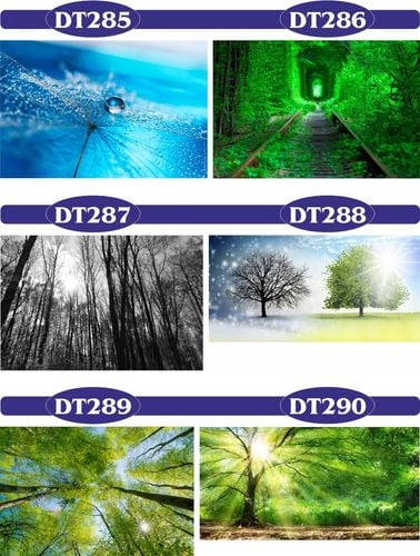 FOTOTAPETA 3d widoki wodospad most las drzewa na Arena.pl