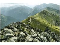 product-compare-58693598