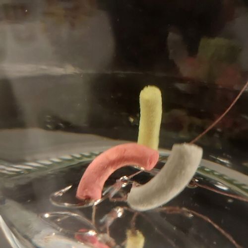 BESTFEED Waftersy PERFETKA Fermentowana Kukurydza przynęta balansująca na Arena.pl