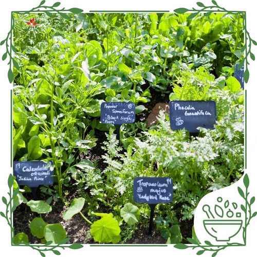 L-carnitine alc acetylo l karnityna energia metabolizm aminokwas 100 kaps. na Arena.pl