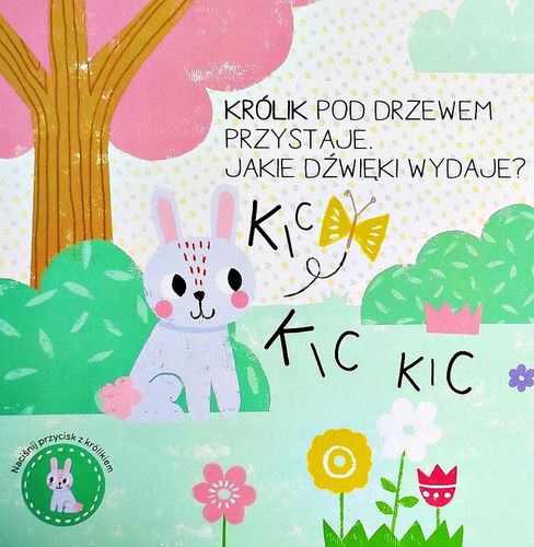 KSIĄŻKA KSIĄŻECZKA SENSORYCZNA BZZZ BZZZ W OGRODZIE Z DŹWIĘKIEM na Arena.pl