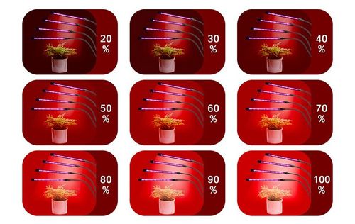 Lampa LED do wzrostu uprawy roślin timer USB klips na Arena.pl