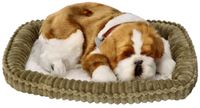 Szczeniaczek oddychający Bulldog