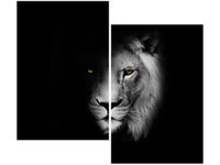 OBRAZ DUCH MROK LEW CIEŃ CZARNO-BIAŁY
