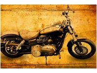 60X40CM HARLEY OBRAZ