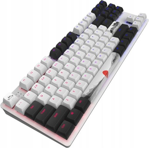 Klawiatura DARK PROJECT DPO87 Fuji na Arena.pl