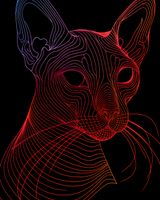 Plakat 40x50cm Cyfrowa Kocica