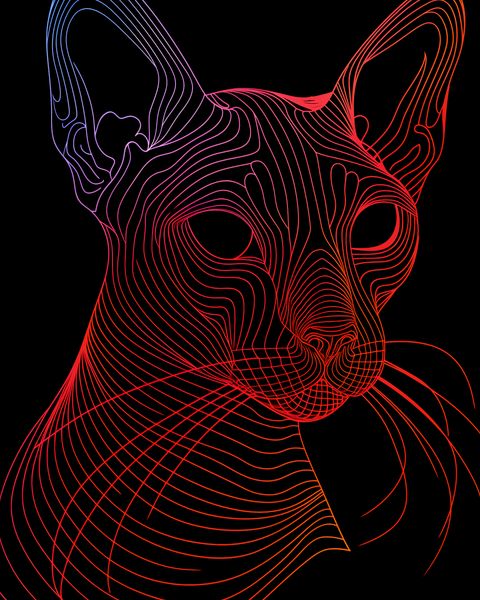 Plakat 40x50cm Cyfrowa Kocica zdjęcie 1