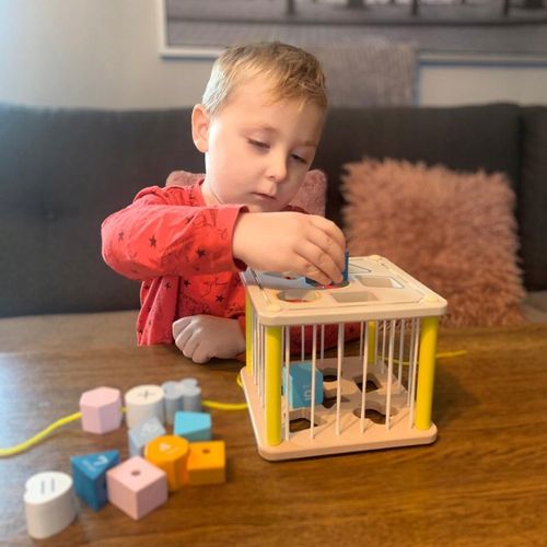 Sorter Kostka Edukacyjna Elastyczna Drewniana Sensoryczna Klocki dla Dzieci na Arena.pl