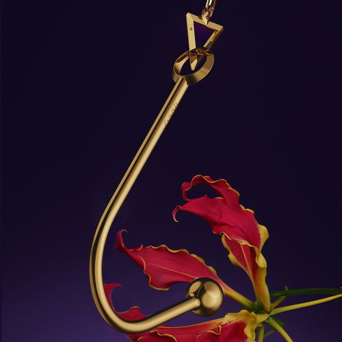 upko vaginal/anal hook na Arena.pl