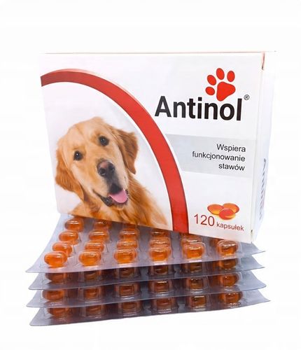 BIOVICO ANTINOL SIZAROL 120 tabletek dla psa na stawy na Arena.pl