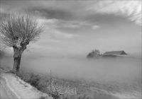 FOTOTAPETA FLIZ las krajobraz we mgle 3D 200x130