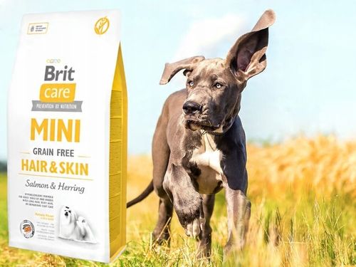 Karma dla psa BRIT Łosoś ze śledziem 7 kg na Arena.pl
