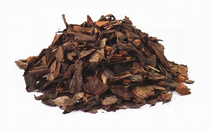 Podłoże do storczyków Arex 5l zdjęcie 5