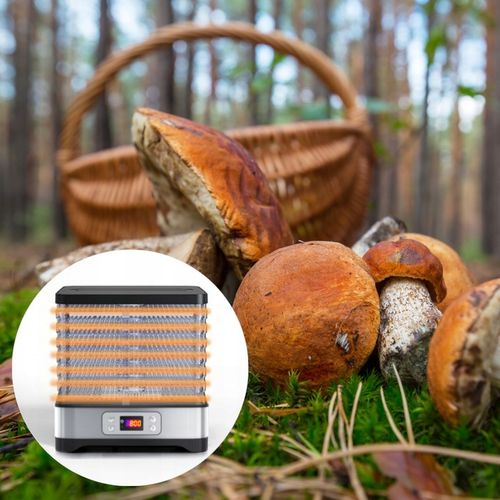 Suszarka do grzybów owoców warzyw DUŻA MOCNA 500W TERMOOBIEG REGULACJA na Arena.pl