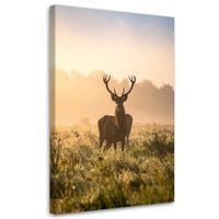 Obraz do salonu sypialni biura, Pejzaż Jeleń 60x90