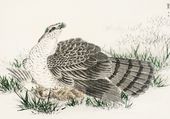 Plakat 100x70cm  Hawk-Eagle, Kashu Japoński Vintage do Salonu