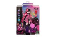 MONSTER HIGH Draculaura lalka+akces HHK51 HPD53 /4