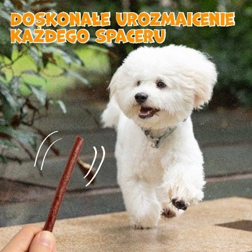 Saczki przysmaki dla psa paluszki z wołowiny 500g PAWFECT BITES na Arena.pl