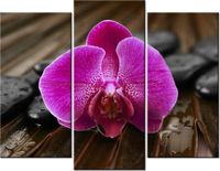 60 90CM OBRAZ 3 ELEM STORCZYK ANETY ŚCIENNY DRUK PŁÓTNO