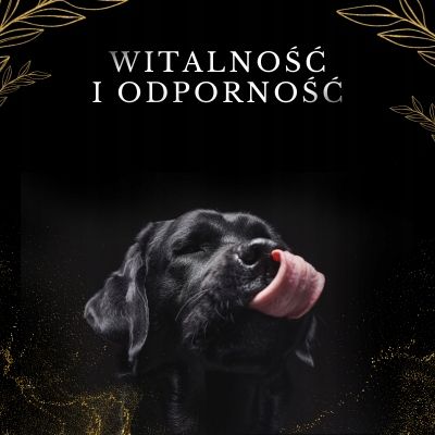 LAB V Olej z łososia z zawartością witamin 250ml na Arena.pl