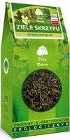 Dary Natury SKRZYP ZIELE SKRZYPU EKOLOGICZNY EKO BIO 100g duże opakowanie