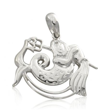 SREBRNY WISIOREK WODNIK DUŻY ZNAK ZODIAKU PRÓBA SREBRA 925 na Arena.pl