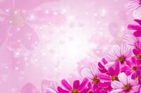 FOTOTAPETA KWIATY SERCA NA WYMIAR SALON