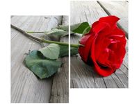 product-compare-58655374