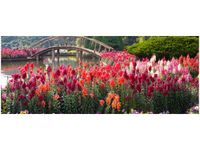 100X40CM MOSTEK WŚRÓD KWIATÓW OBRAZ DREWNO