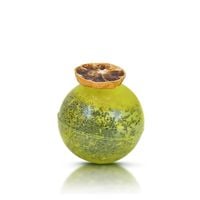 Mary Rose – Bomba herbaciana Citrus Gentleman (mini)