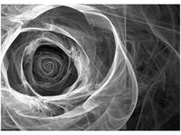 product-compare-58647904