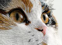 Plakat 18x13cm Nitkowany Kot