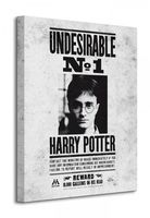 Harry Potter Undesirable No.1 - Obraz na płótnie 40x50 cm