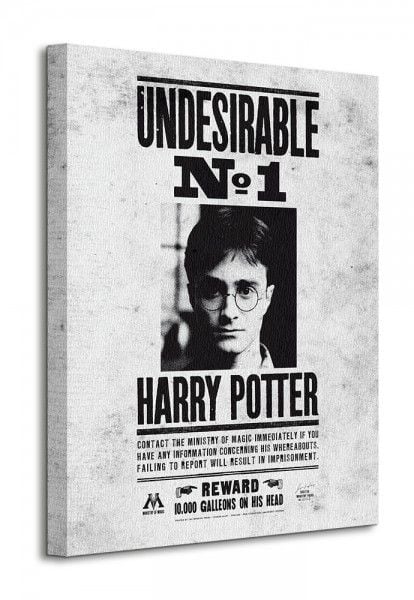 Harry Potter Undesirable No.1 - Obraz na płótnie 40x50 cm zdjęcie 1