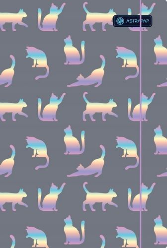 Teczka Z Gumką A4 Holo Effect Astrapap A'10 7267 na Arena.pl