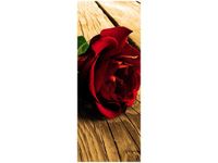 40X100CM RÓŻA UKOCHANEJ OBRAZ PION