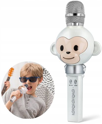 Mikrofon Bluetooth Z Głośnikiem Karaoke Dla Dzieci na Arena.pl