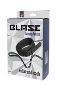 blaze collar and leash black