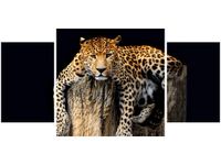 80X40CM OBRAZ DZIKI KOT LAMPART TRÓJ OBRAZ