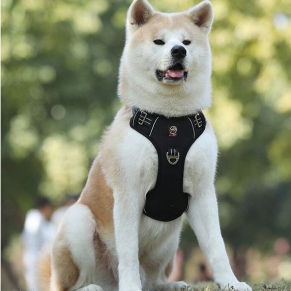 MOCNE SZELKI GUARD dla psa ALASKA odblask red M zdjęcie 5