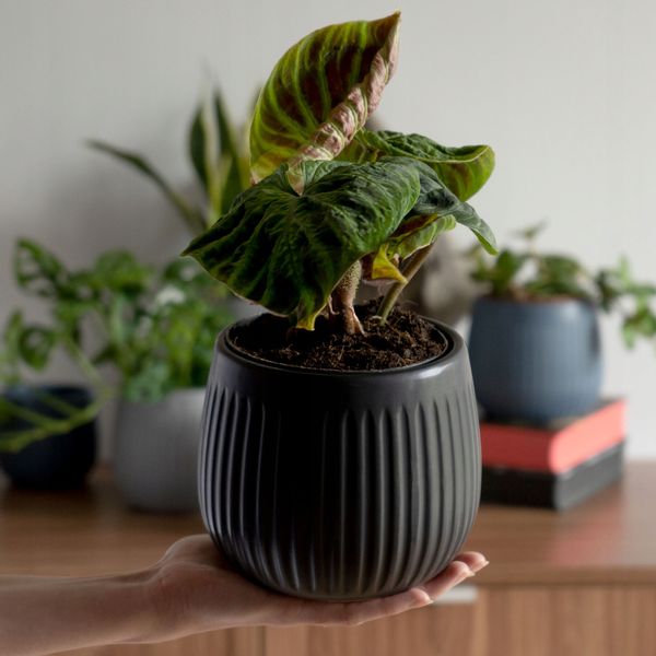 KADAX Doniczka Ceramiczna Osłonka 14cm Czarna zdjęcie 2