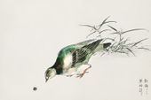 Plakat 91,5x61cm Turtle Dove, Kashu Japoński Vintage do Salonu