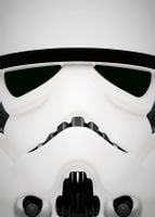 Face It! Star Wars Gwiezdne Wojny - Stormtrooper - plakat 42x59,4 cm