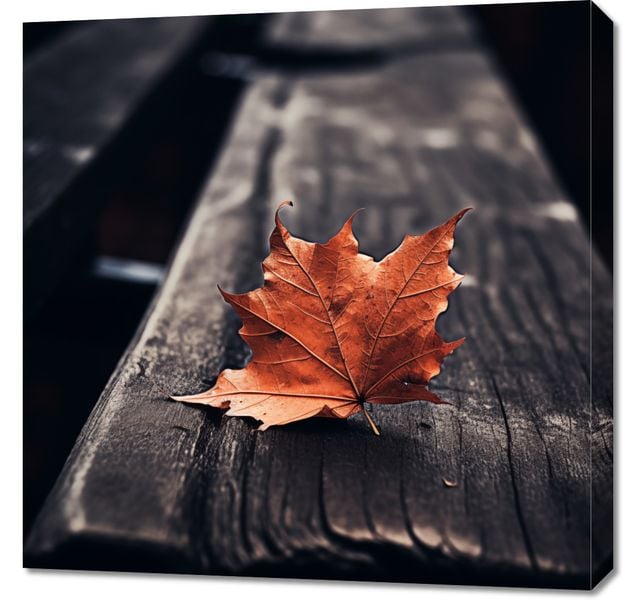 Obraz 70x70cm Pojedynczy Liść zdjęcie 1